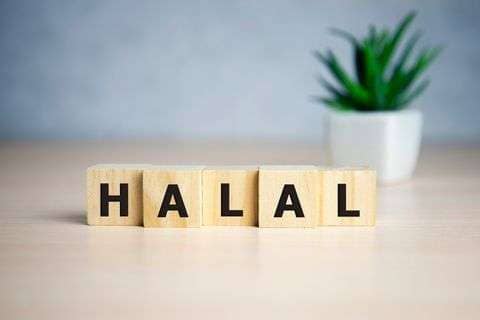 takaful is halal life insurance policy