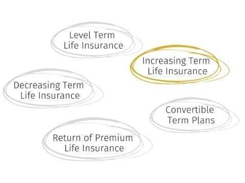 increasing term of your policy life insurance payouts